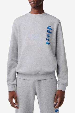 Sweat en coton biologique - Gris clair