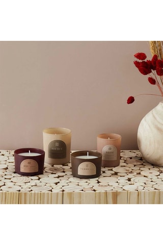 Coffret 4 velas perfumadas - Figo, peónia, bruma de madeiras e madeira de especiarias