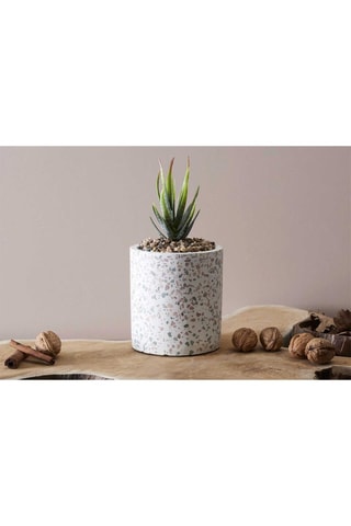 Planta artificial com vaso de cerâmica Terrazzo - 10 cm