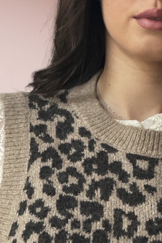 Mouwloze Trui Martis - Bruin