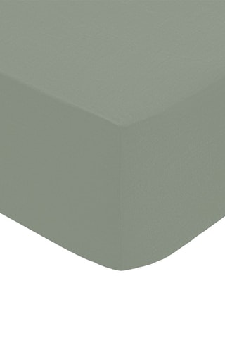 Drap-housse en percale de coton 80 fils/cm² - Sauge