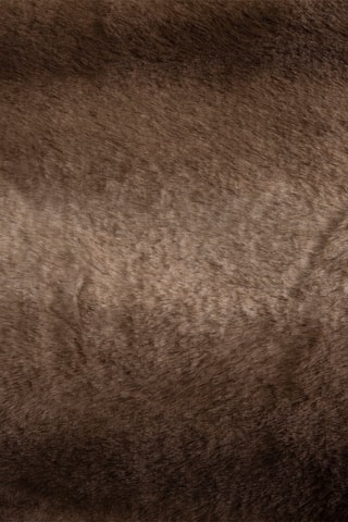 Plaid - Marron - 180 x 230 cm