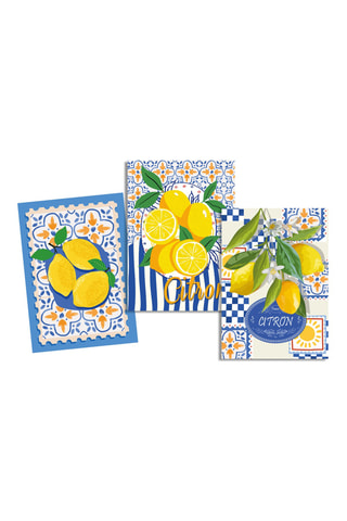 3 torchons Grasse - Bleu