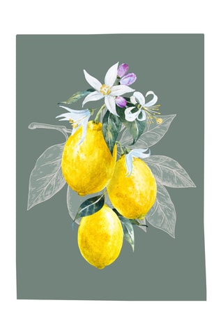 3 torchons Lemon - Jaune