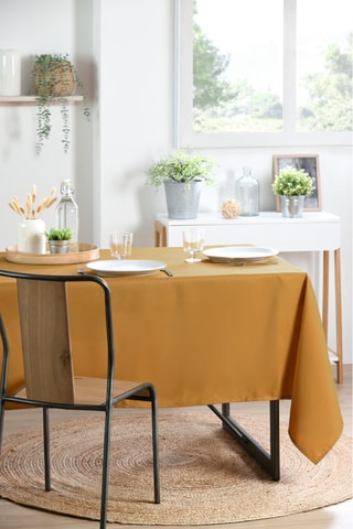 Nappe Nelson - Curry