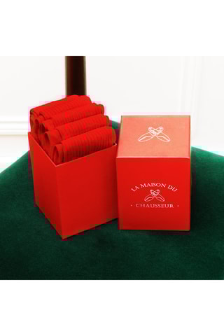 5 pares de calcetines Semainier - Rojo