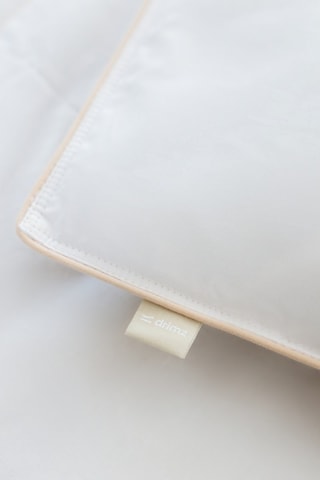 Ensemble oreiller plume et couette légère