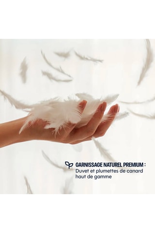 Couette Cozy chaude - Plume de Canard