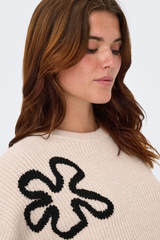 Pull - Beige et noir