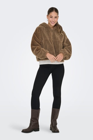 Sweat à capuche - Marron