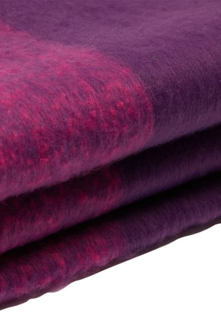 Écharpe - Violet - Etam