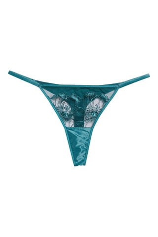 String Amaryllis - Bleu canard