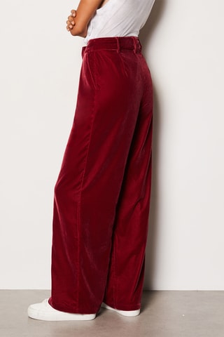 Pantalon en velours Merida - Bordeaux