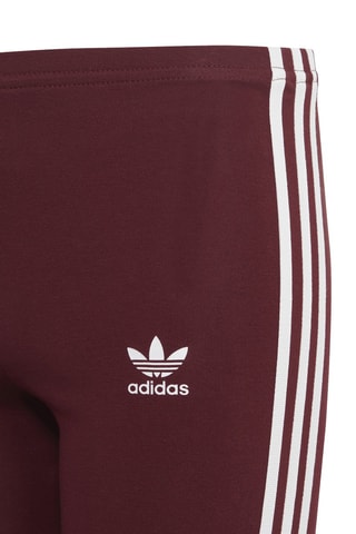 Legging de sport Adicolor - Bordeaux