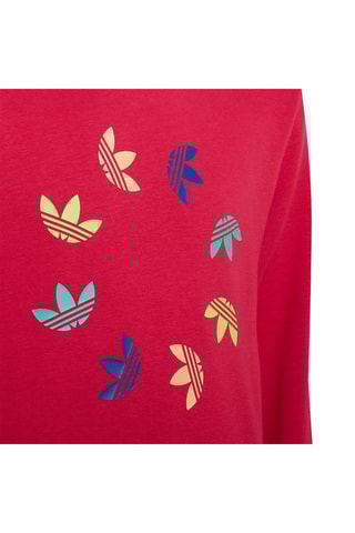 Sweat à capuche Adicolor Rouge