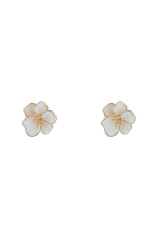 Puces Orchidée - Or jaune