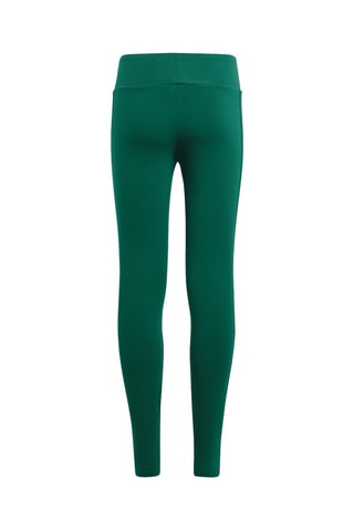 Legging taille haute Collegiate - Vert - Adidas