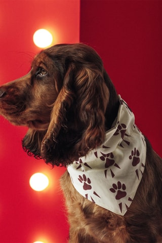 Bandana per cani - Ecrù