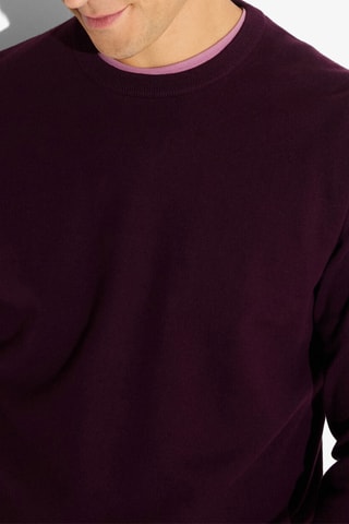 Maglia in cotone bio - Viola