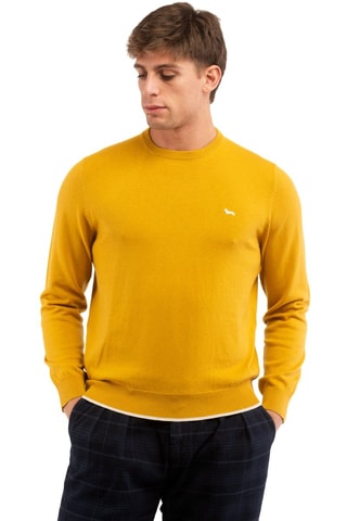 Pull en laine - Moutarde