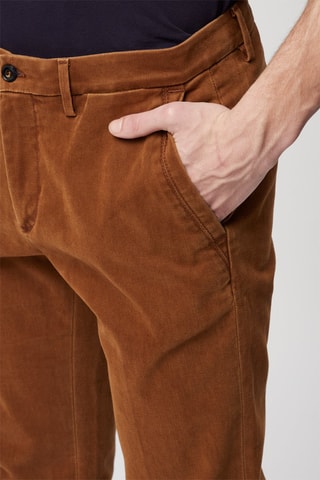 Chino Bruin - Harmont & Blaine