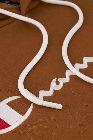 Sweater met Capuchon - Bruin