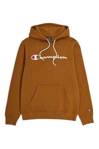 Sweater met Capuchon - Bruin