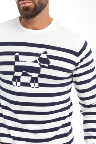 Pull - Blanc et bleu