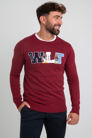 Pull - Gris et rouge