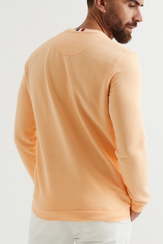 Sweat - Orange