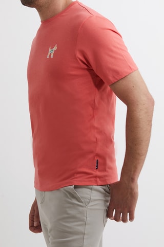 T-shirt - Corail