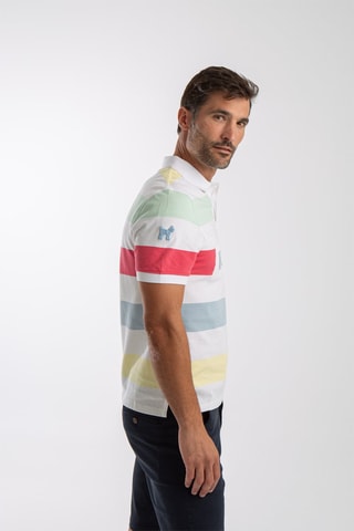 Polo regular - Multicolore