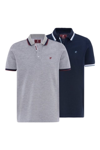 2 polos - Bleu et gris