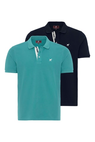2 polos - Bleu et vert