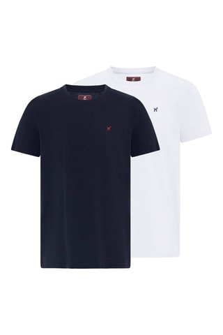 2 t-shirts - Blanc et bleu