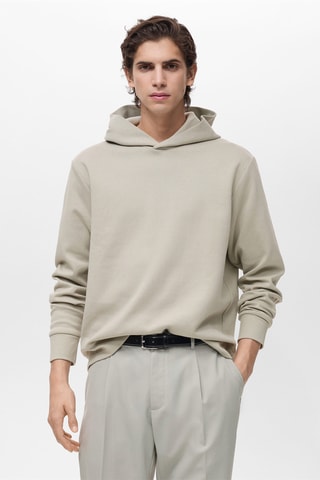 Sweat-shirt coton capuche regular-fit - Gris glacier