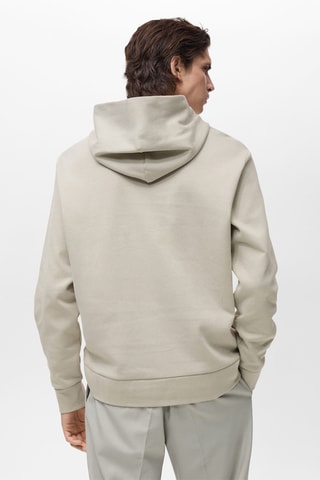 Sweat-shirt coton capuche regular-fit - Gris glacier