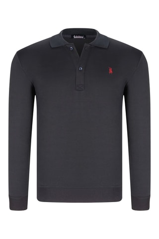 2 Polo's - Blauw en bruin