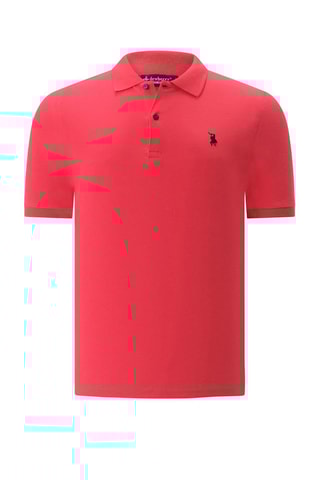 3 Polo's - Wit, rood en blauw