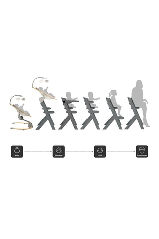 Trona Family Pro con arnés y adaptador - Desde 36 meses - Hasta 75 kg