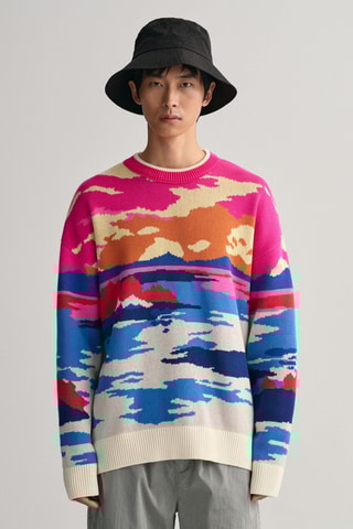 Maglia oversize in cotone bio - Multicolore