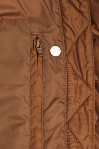 Piumino regular - Marrone