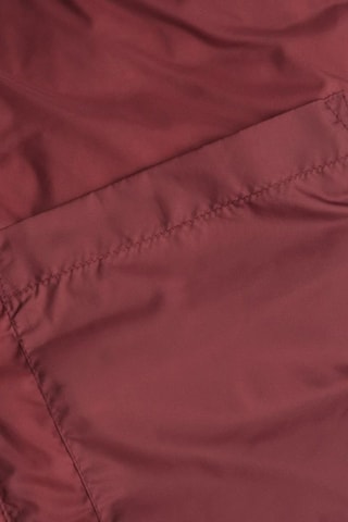 Piumino regular senza maniche - Bordeaux