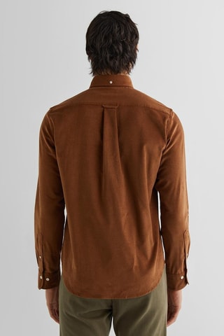 Camicia regular - Marrone