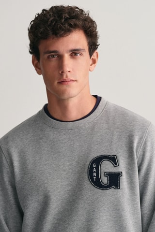 Felpa regular - Grigio