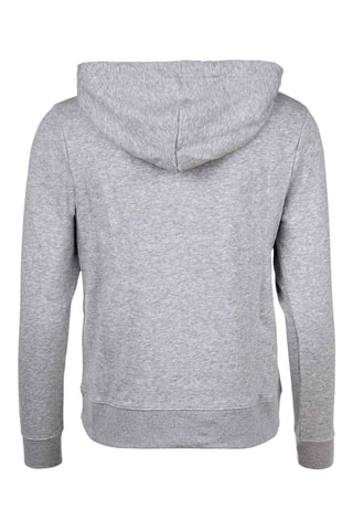 Felpa con cappuccio - Grigio