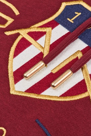 Felpa con cappuccio - Bordeaux