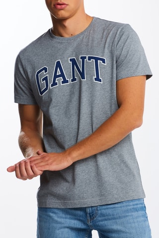 T-shirt regular - Grigio melange