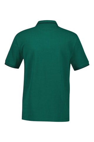 Polo regular in cotone bio - Verde