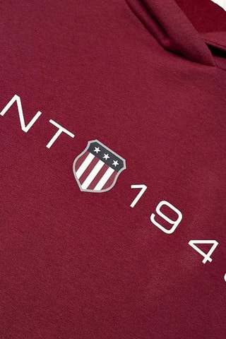 Felpa regular con cappuccio - Bordeaux